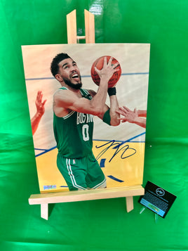 Jayson Tatum Signed Celtics 8.5x11 Photo w/COA